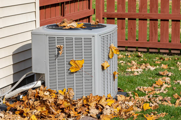 Best HVAC Air Duct Cleaning  in Easton, MD